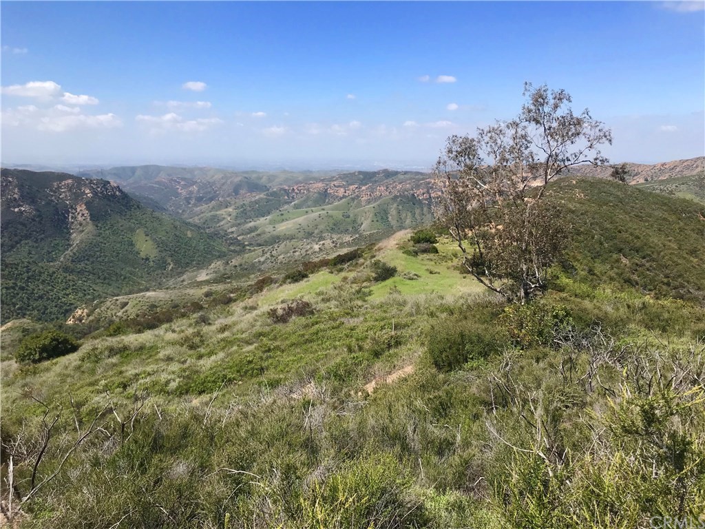 20 North Main Divide Road Silverado, CA 92676 - Photo 4 of 40