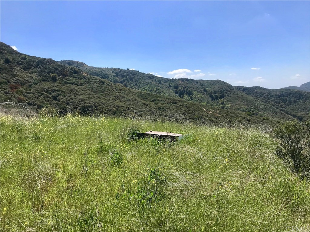 20 North Main Divide Road Silverado, CA 92676 - Photo 5 of 40