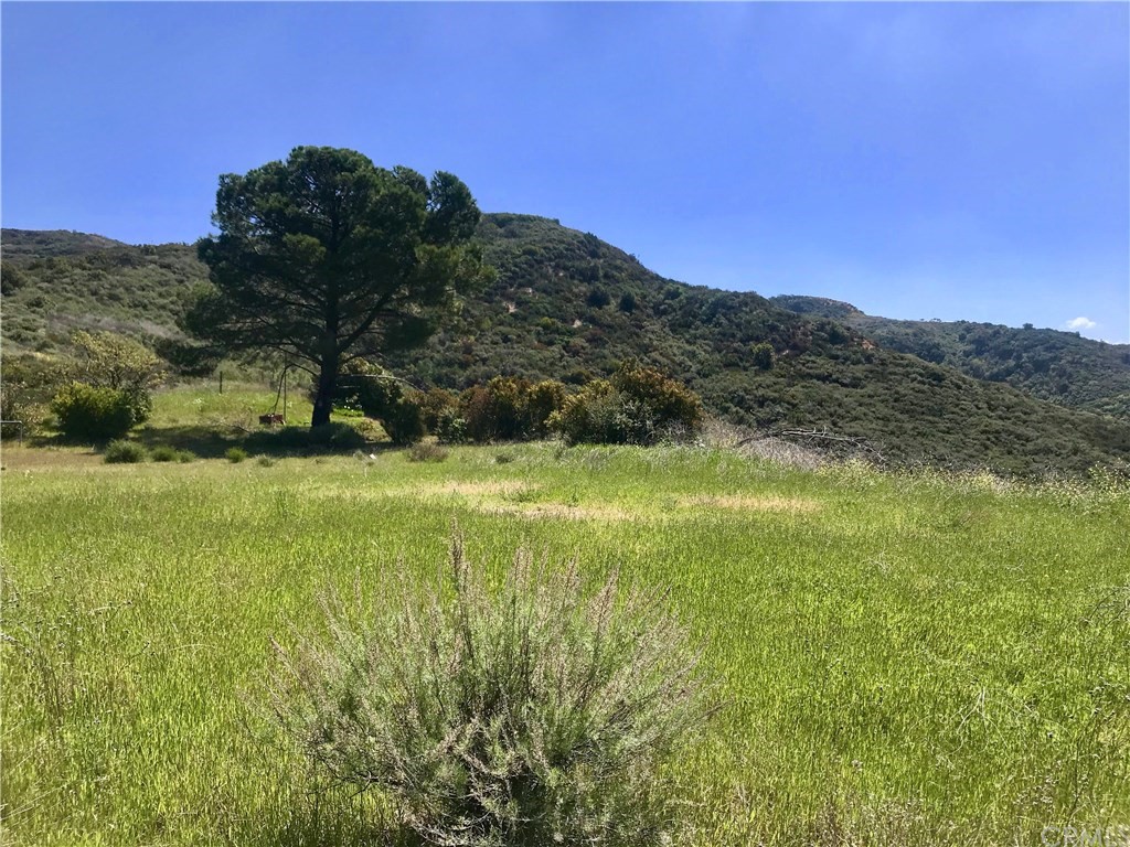 20 North Main Divide Road Silverado, CA 92676 - Photo 7 of 40