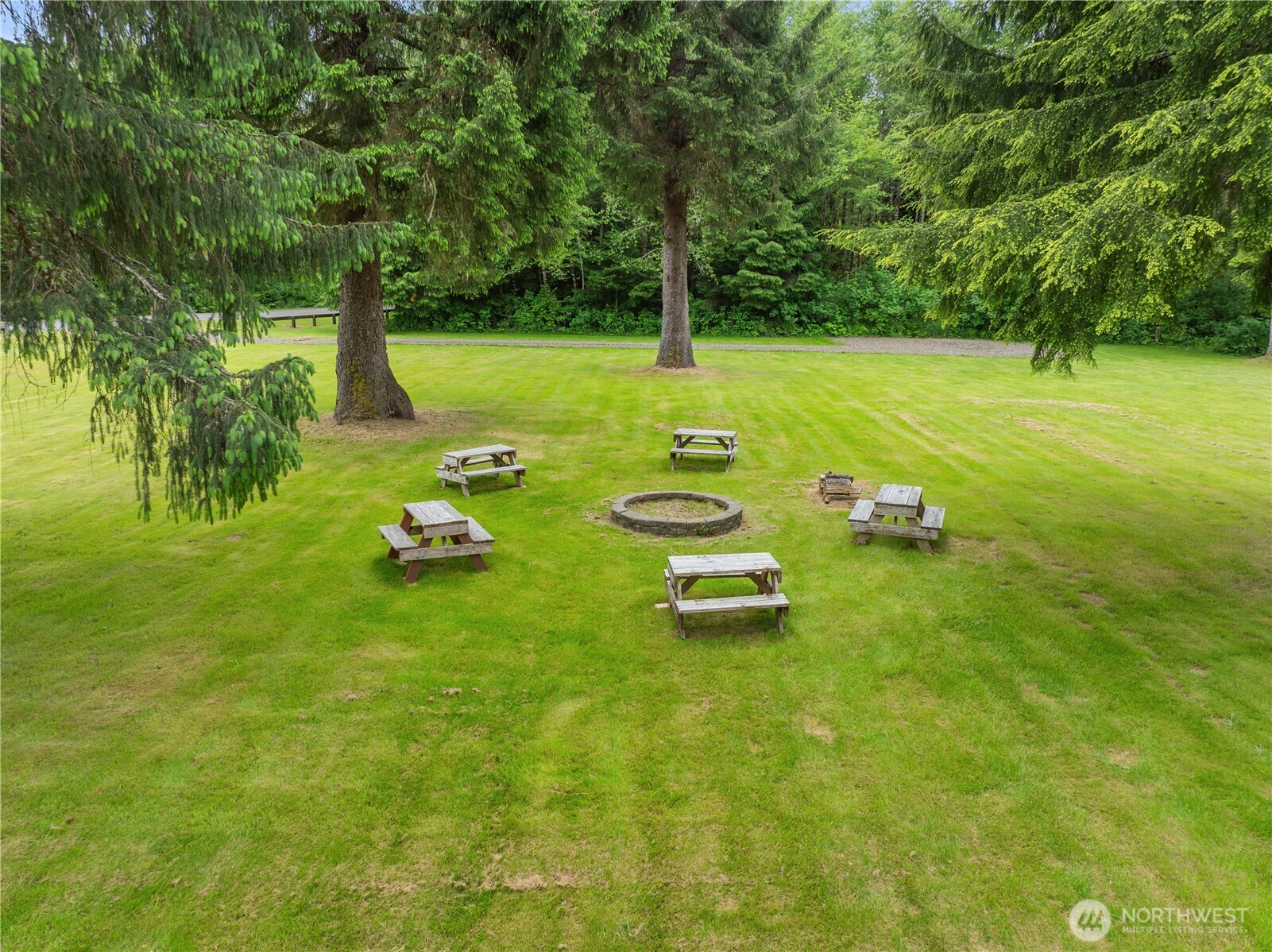 132 River Park Road Forks, WA 98331 - Photo 4 of 40 a view of a park with large trees