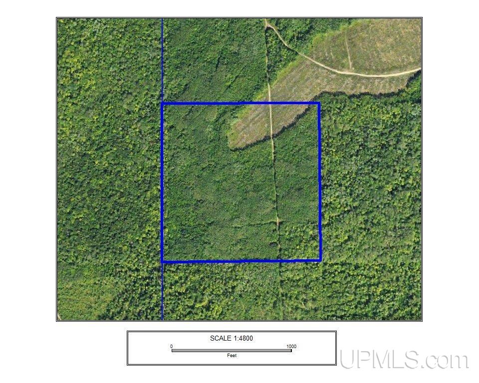 Tbdw Tbdw Off Townline Road Lanse, MI 49946 - Photo 3 of 17