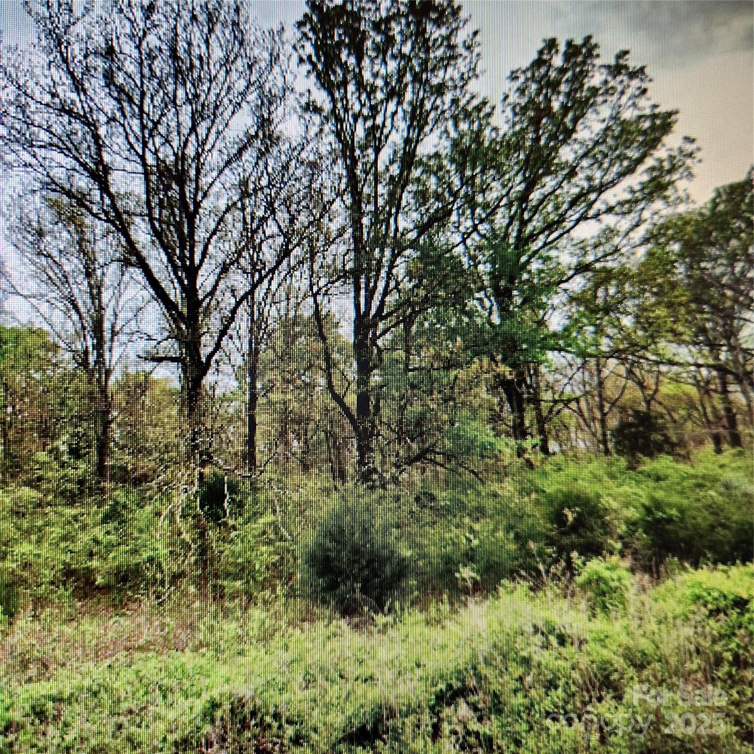 1450 Pork Road Peachland, NC 28133 - Photo 6 of 6 Gallery Image 6