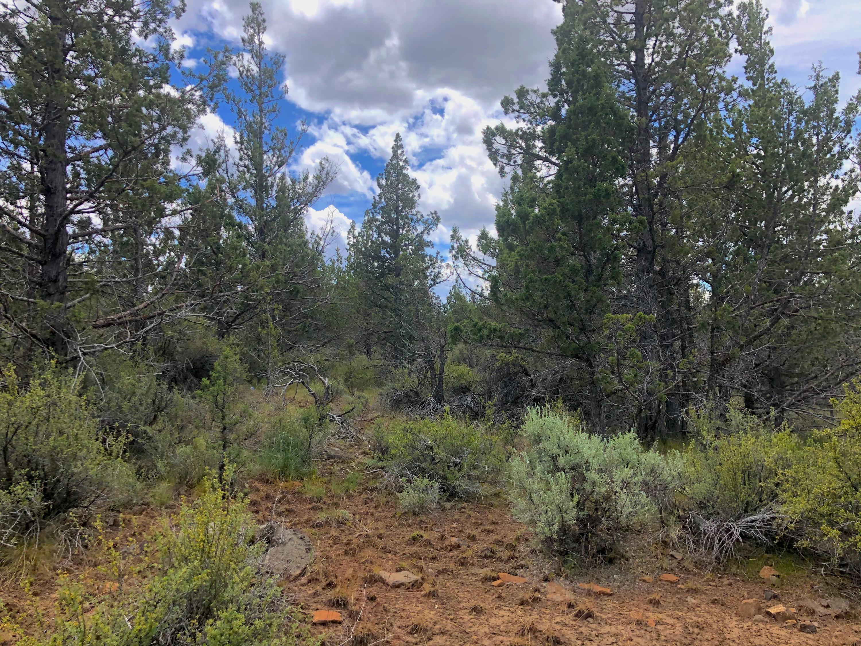 0 Southeast Thomas Road Prineville, OR 97754 - Photo 3 of 4 003
