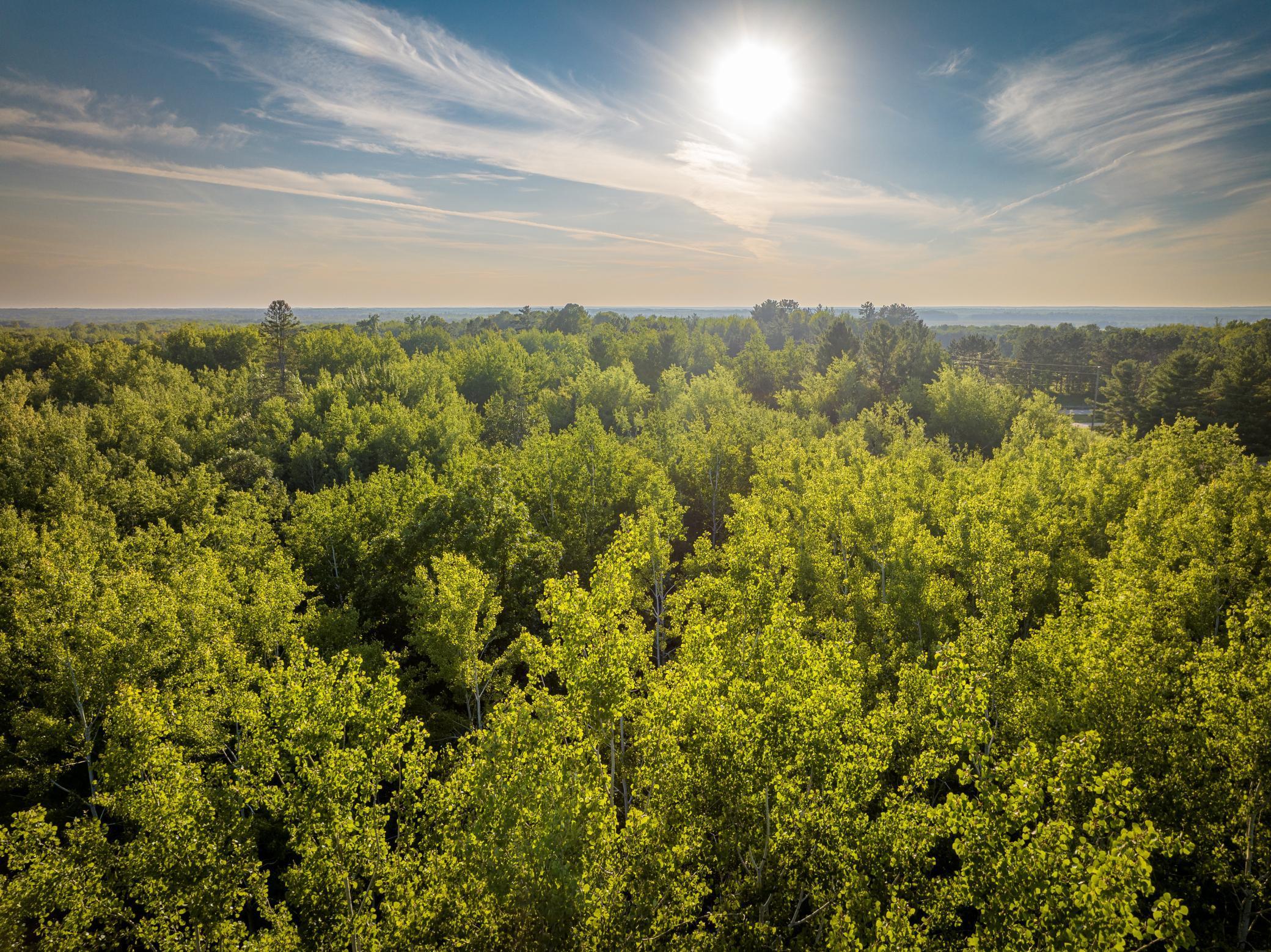 Xxa Swanson Road Askov, MN 55704 - Photo 1 of 1 Gallery Image 1