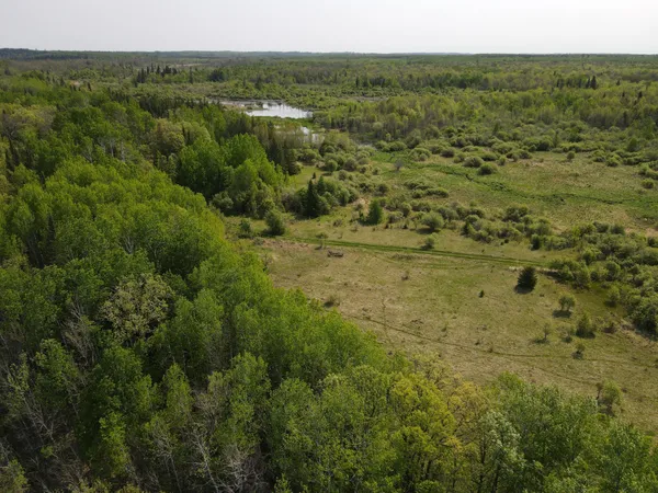 $95,500 | 67552 Tranquility Trail, Effie, MN 56639