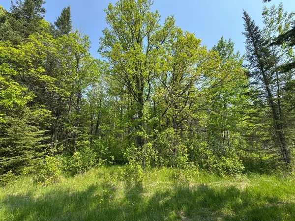 $95,500 | 67552 Tranquility Trail, Effie, MN 56639