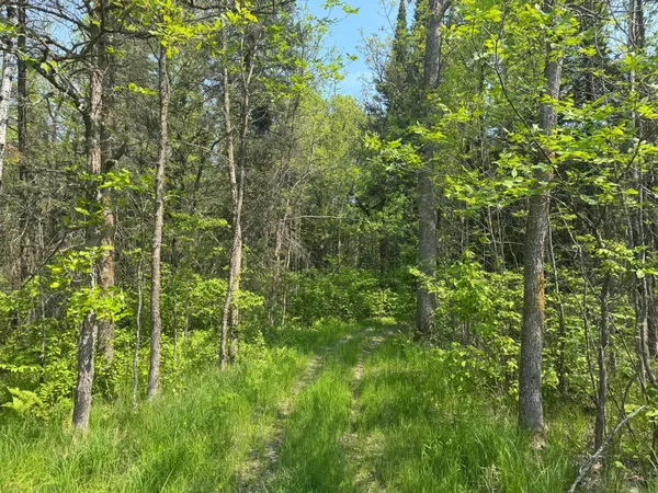 $95,500 | 67552 Tranquility Trail, Effie, MN 56639