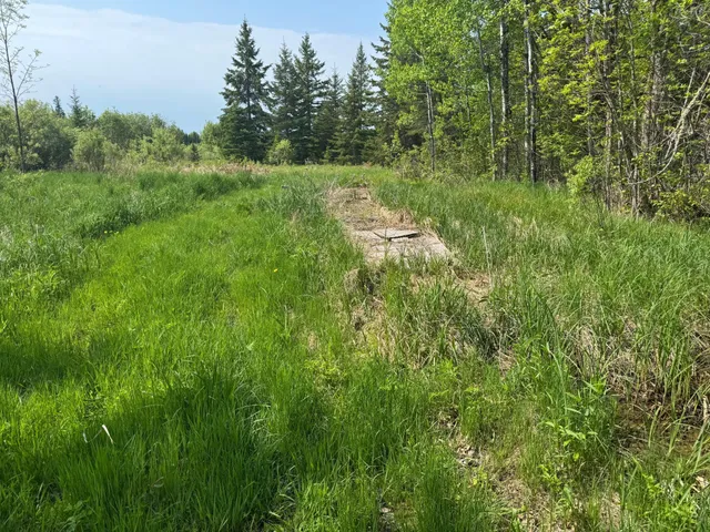 $95,500 | 67552 Tranquility Trail, Effie, MN 56639