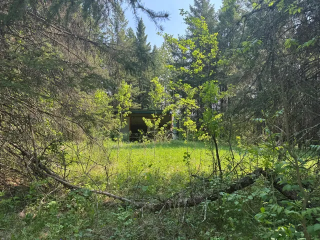$95,500 | 67552 Tranquility Trail, Effie, MN 56639