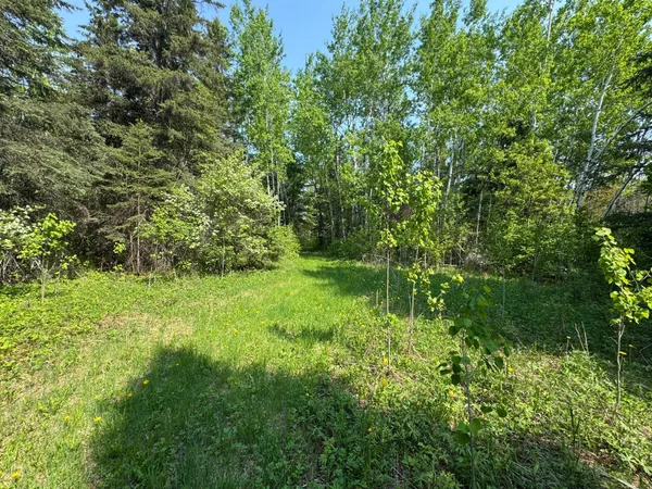 $95,500 | 67552 Tranquility Trail, Effie, MN 56639