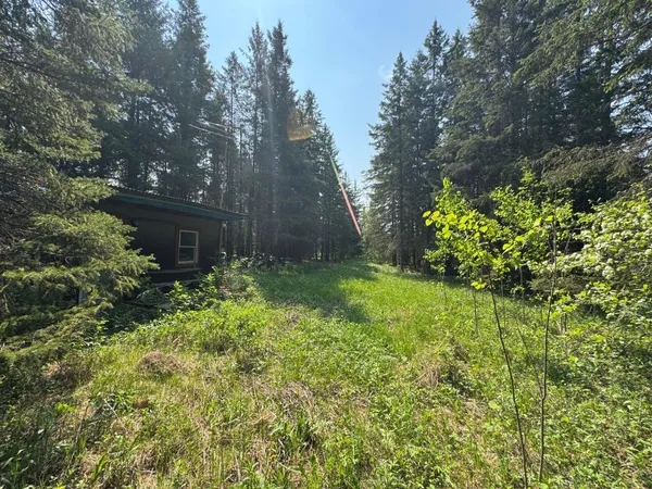 $95,500 | 67552 Tranquility Trail, Effie, MN 56639