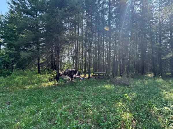 $95,500 | 67552 Tranquility Trail, Effie, MN 56639