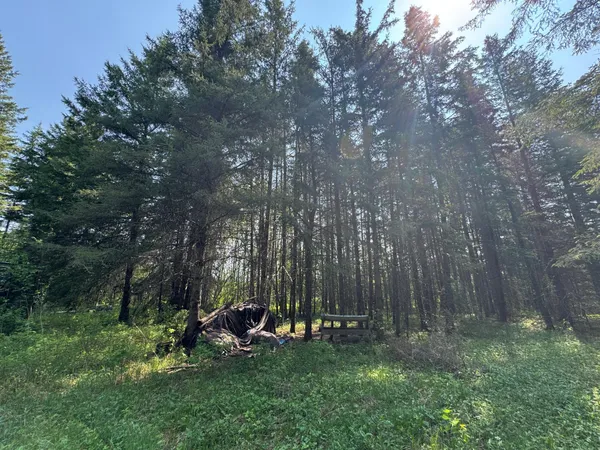 $95,500 | 67552 Tranquility Trail, Effie, MN 56639