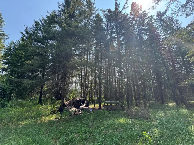 $95,500 | 67552 Tranquility Trail, Effie, MN 56639