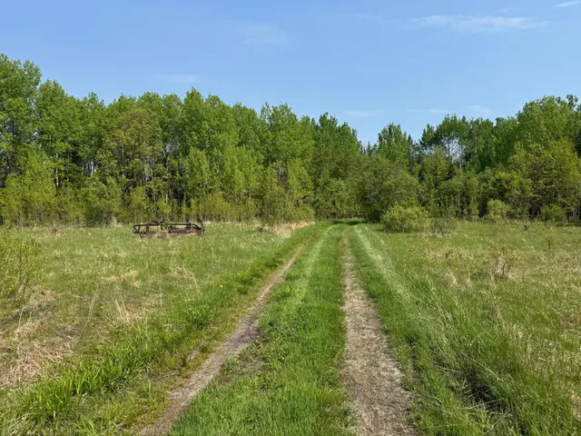 $95,500 | 67552 Tranquility Trail, Effie, MN 56639