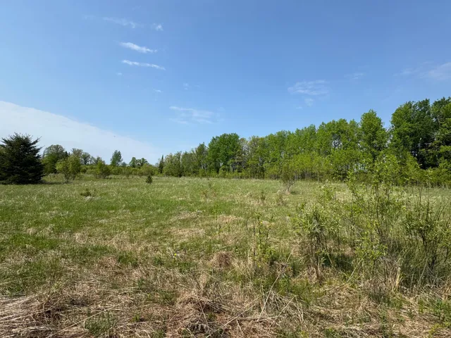 $95,500 | 67552 Tranquility Trail, Effie, MN 56639