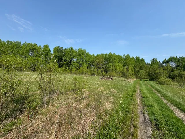 $95,500 | 67552 Tranquility Trail, Effie, MN 56639