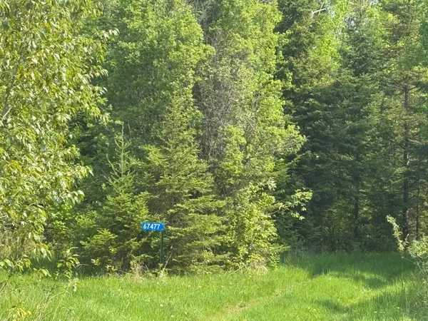 $95,500 | 67552 Tranquility Trail, Effie, MN 56639