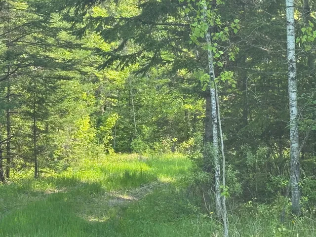 $95,500 | 67552 Tranquility Trail, Effie, MN 56639