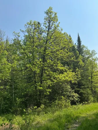 $95,500 | 67552 Tranquility Trail, Effie, MN 56639