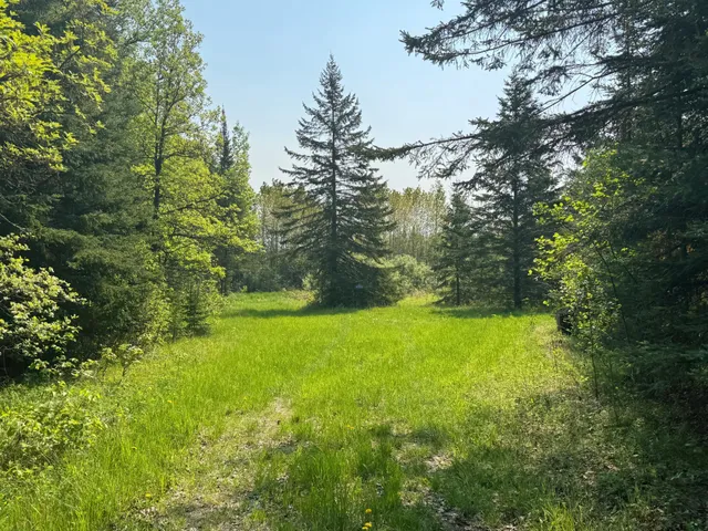 $95,500 | 67552 Tranquility Trail, Effie, MN 56639