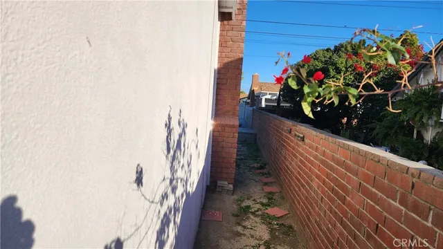 a view of a flower pot