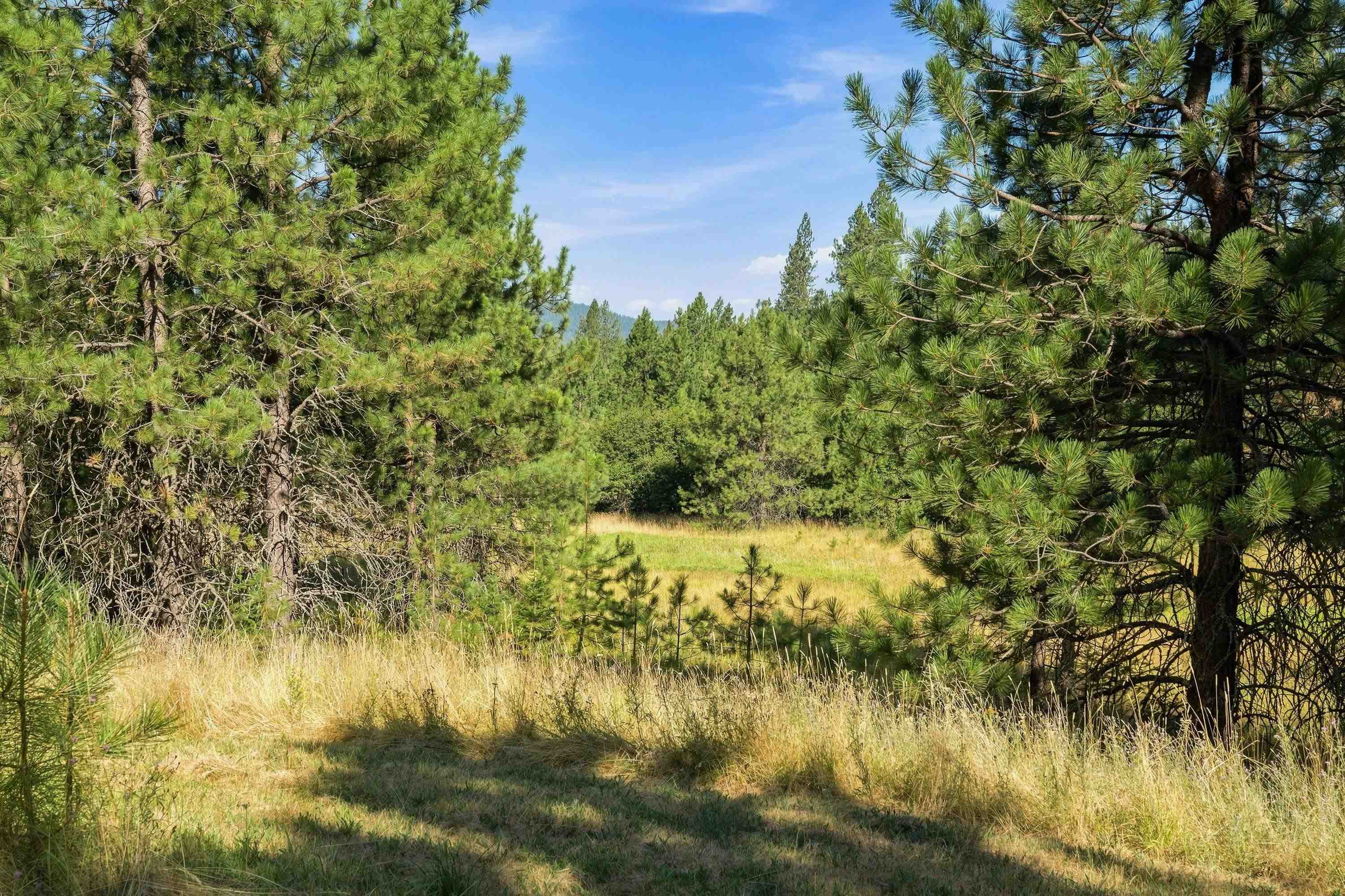 2132 Nicholson Road Elk, WA 99009 - Photo 38 of 48 Gallery Image 38