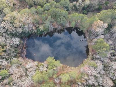 726 Good Springs Road Aiken, SC 29801 - Photo 3 of 5