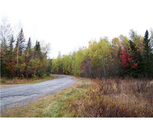 700 Butterfield Ridge Road Lincoln, ME 04457 - Photo 10 of 12 Land/Lot.