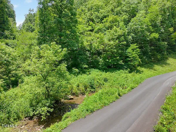 $20,000 | Tbd Heralds Valley Road, Castlewood, VA 24224
