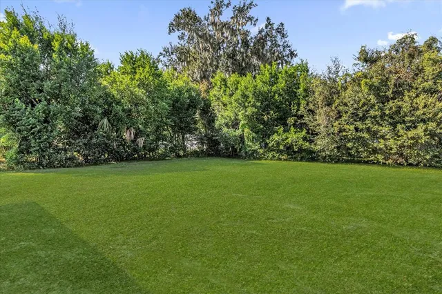 a view of yard and trees