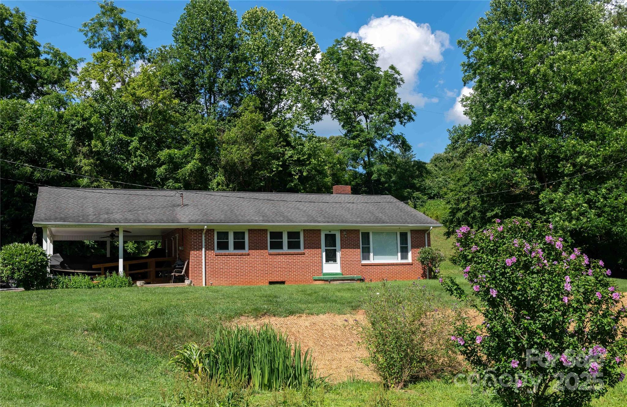 40 Double Island Road Burnsville, NC 28714 - Photo 3 of 28 a view of a yard in front of house