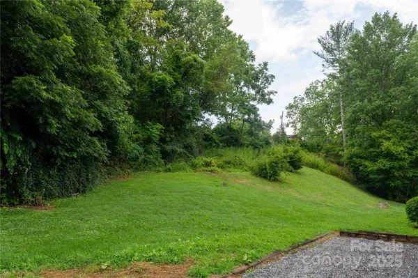 a view of a grassy field with trees