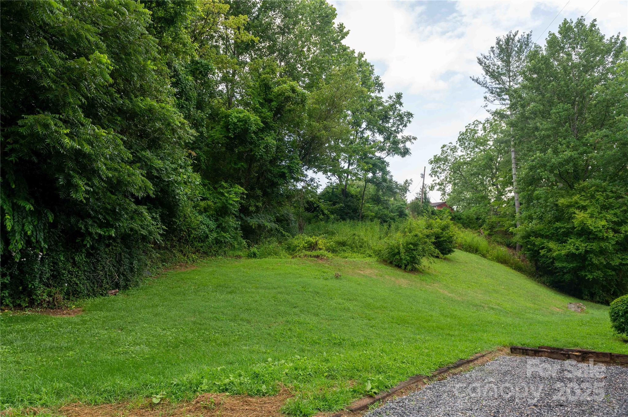 40 Double Island Road Burnsville, NC 28714 - Photo 5 of 28 a view of a grassy field with trees