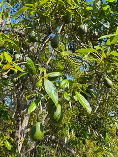 $1,749,000 | 710 Buena Creek Road, San Marcos, CA 92069