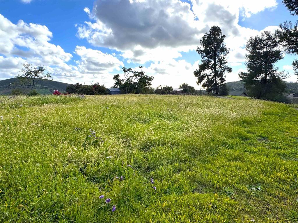 710 Buena Creek Road San Marcos, CA 92069 - Photo 62 of 68