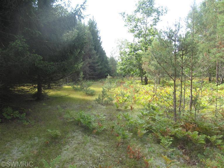 East Hansen Custer, MI 49405 - Photo 1 of 6 Primary Photo