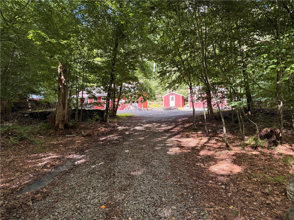 334 Lulu Coon Road Butternuts, NY 13849 - Photo 24 of 41 Gallery Image 24