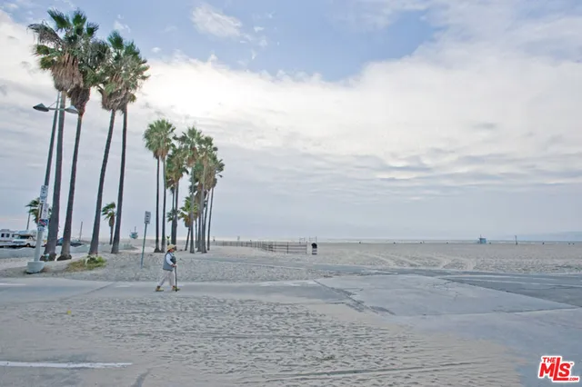 a view of ocean with a palm tree