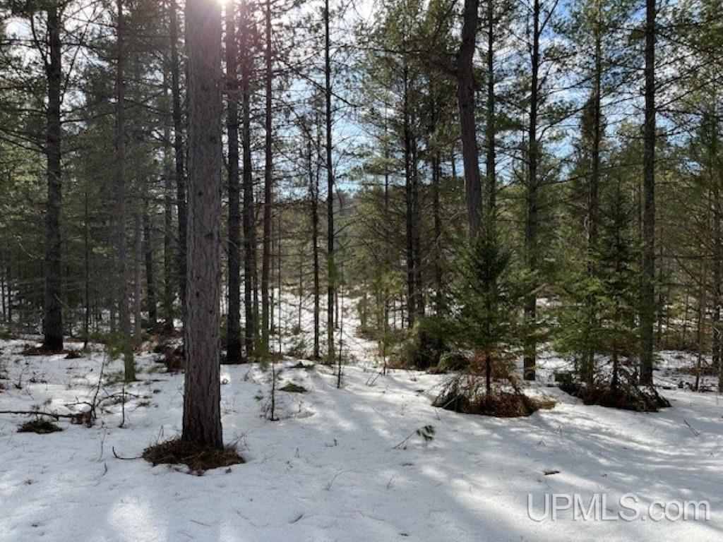 Lot 7 Powell Lake Road Wetmore, MI 49895 - Photo 15 of 16
