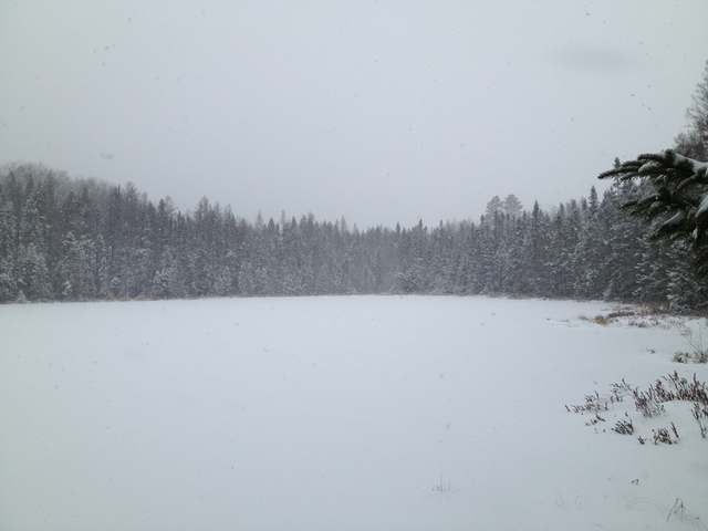 40-acres Hilts Lake Road Rhinelander, WI 54501 - Photo 16 of 18 Gallery Image 16