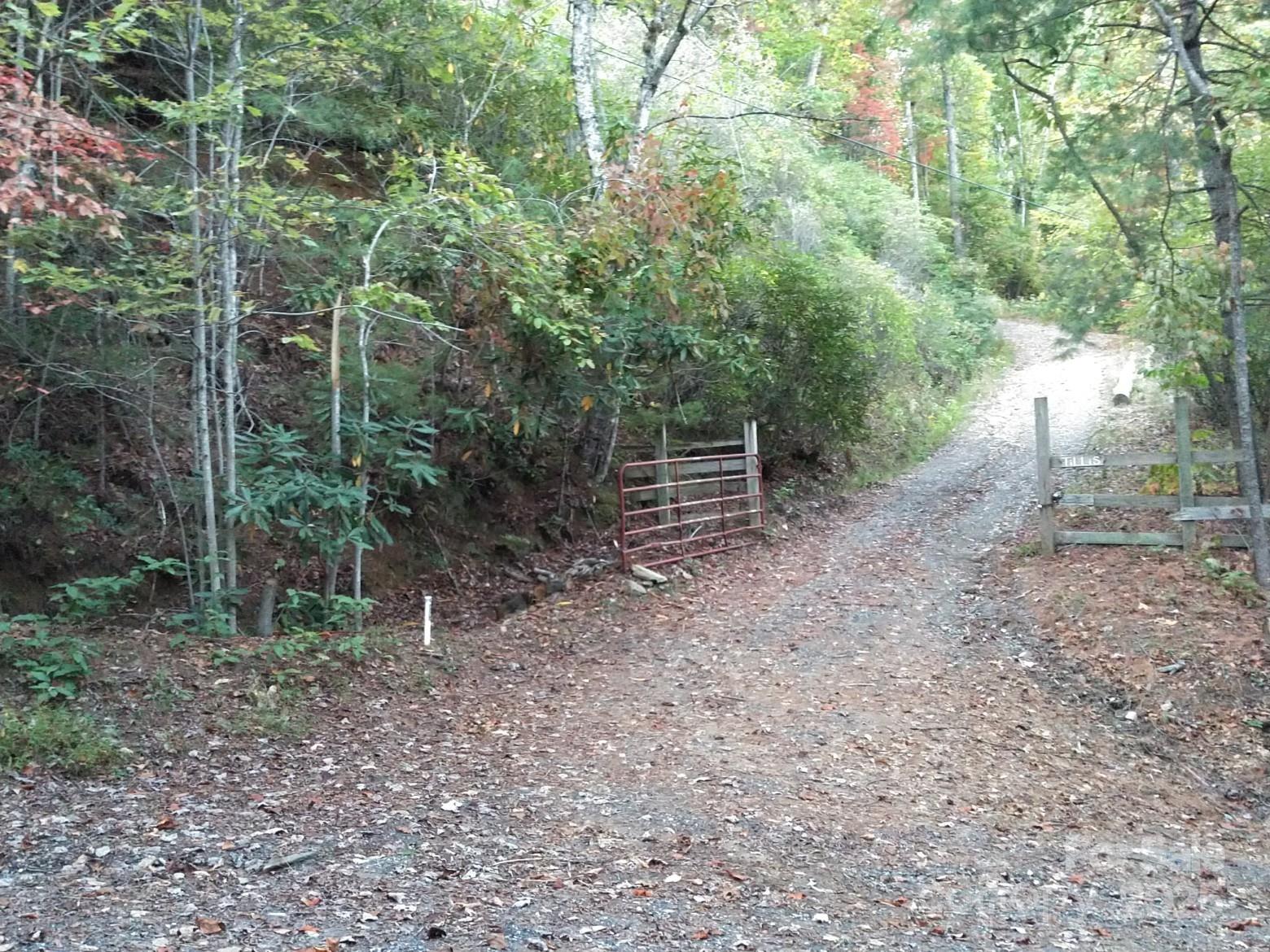 0 Mack Luke Road, Unit 7 Whittier, NC 28789 - Photo 14 of 25 a view of a forest filled with trees