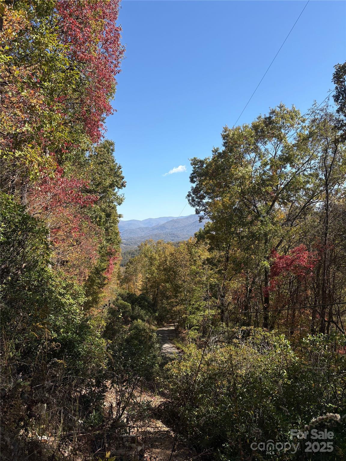 0 Mack Luke Road, Unit 7 Whittier, NC 28789 - Photo 19 of 25