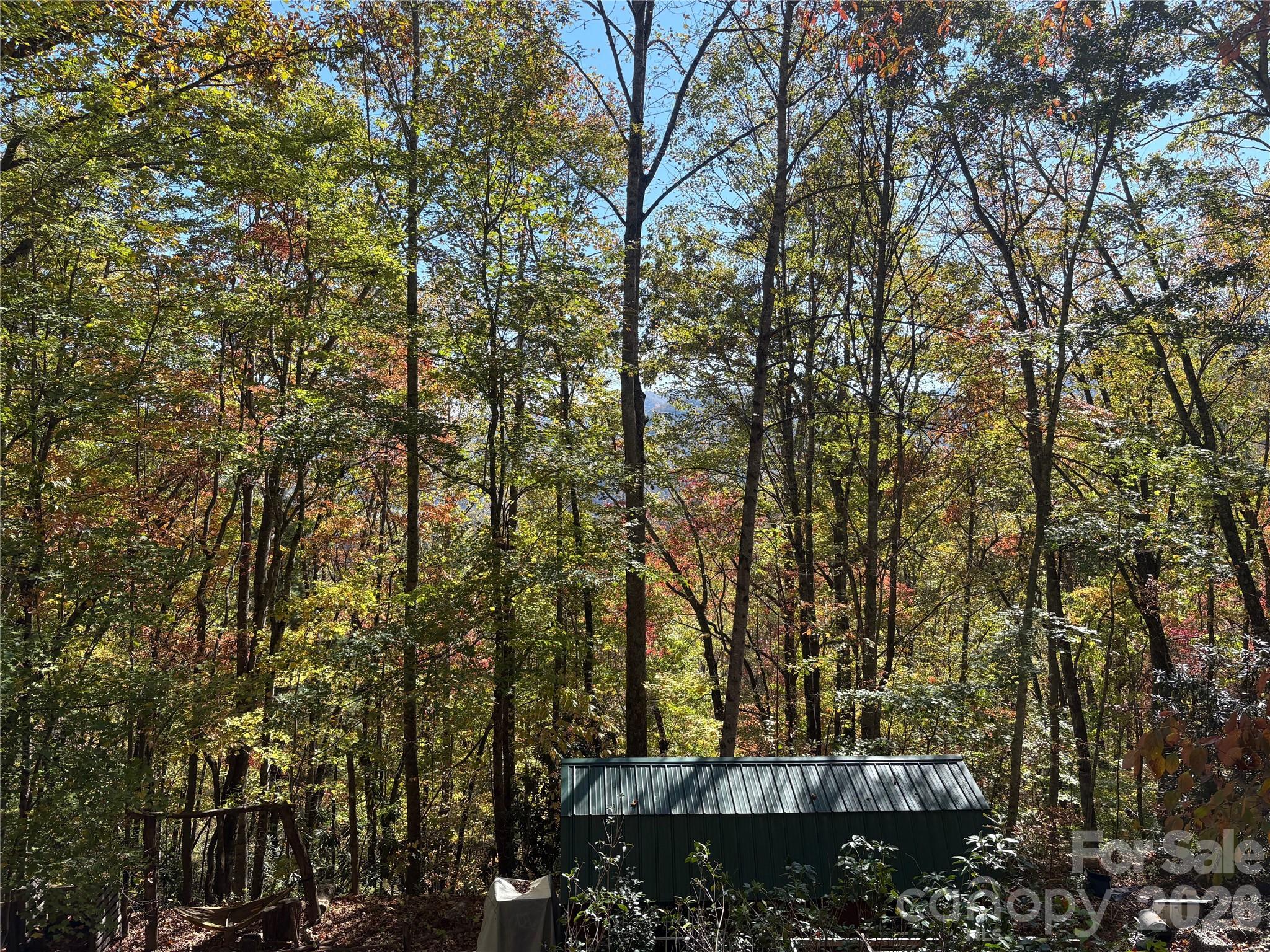 0 Mack Luke Road, Unit 7 Whittier, NC 28789 - Photo 23 of 25