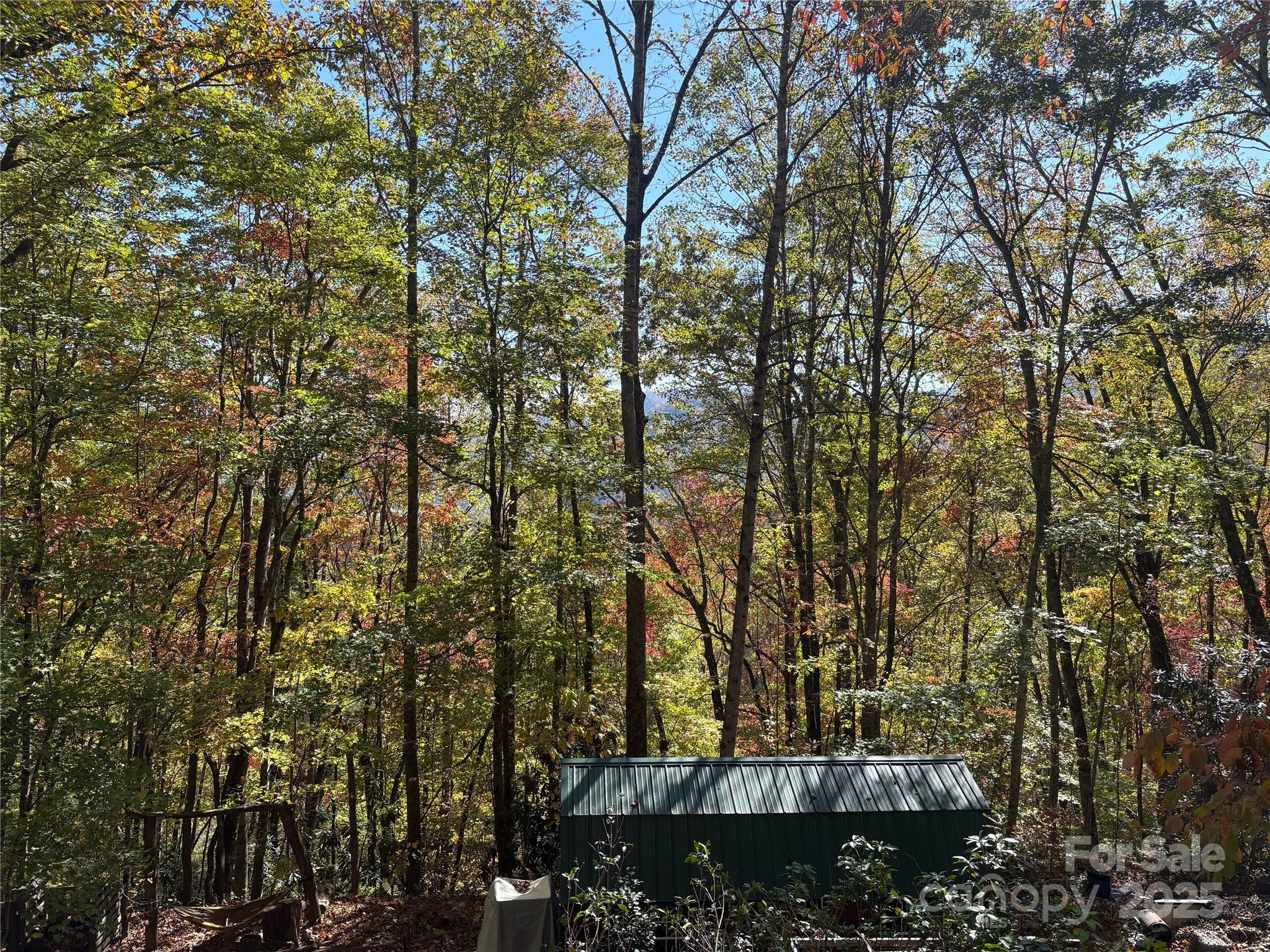 0 Mack Luke Road, Unit 7 Whittier, NC 28789 - Photo 23 of 25