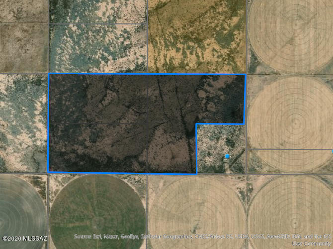 10000 Fort Grant Road Willcox, AZ 85643 - Photo 12 of 16