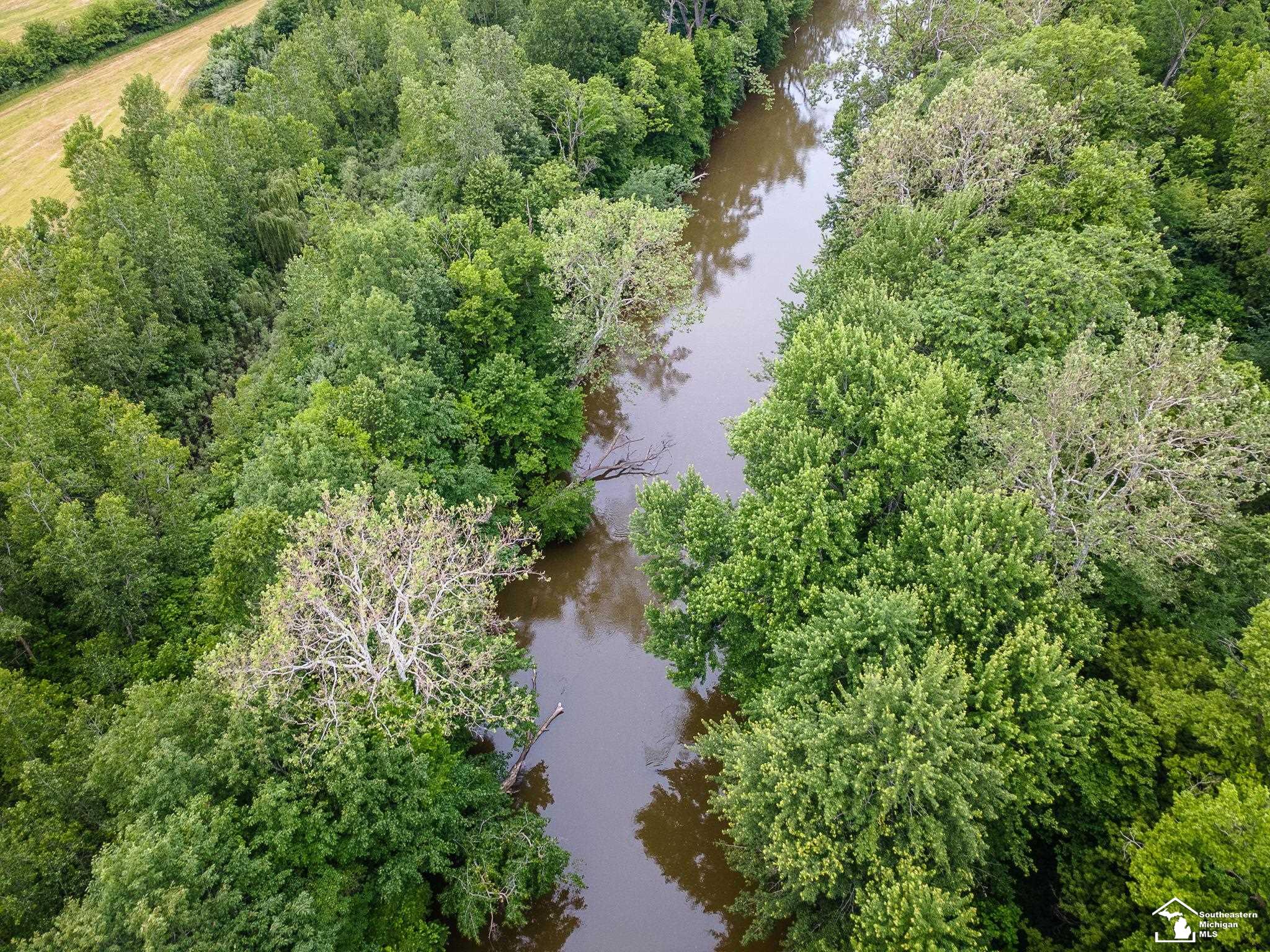 13999 Rightmire Road Dundee, MI 48131 - Photo 16 of 41