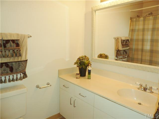 824 Green Ridge Drive Raleigh, NC 27609 - Photo 10 of 17 Master Bath/Spa