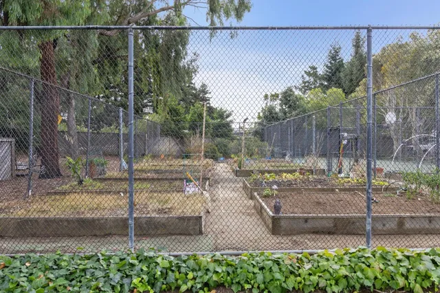 a view of a garden with an trees