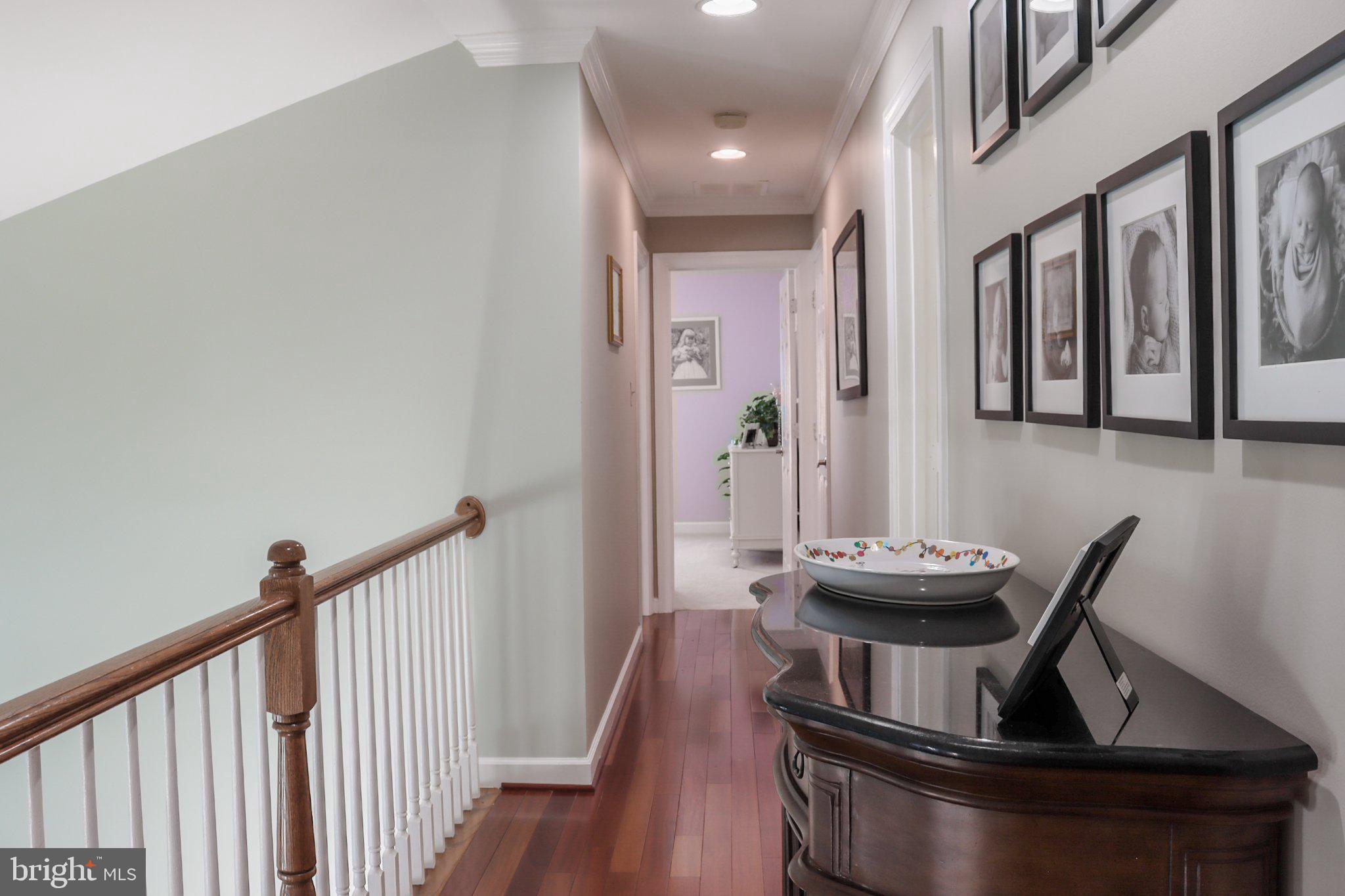 3254 Breckenridge Way Riva, MD 21140 - Photo 24 of 65 Elegant hallway with artistic flair.